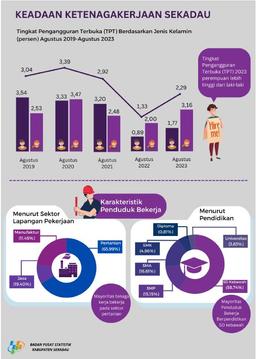 Keadaan Ketenagakerjaan Kabupaten Sekadau Agustus 2023