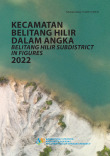 Kecamatan Belitang Hilir Dalam Angka 2022