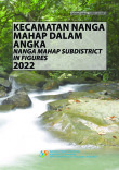 Kecamatan Nanga Mahap Dalam Angka 2022